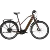 Diamant Vélos De Ville électriques Opal Esprit+ Trapèze, Marron
