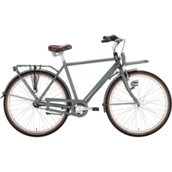 Excelsior Vélos Urbains Swan-Retro FT Alu Tsp À 3 Vitesses, Gris