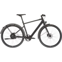 Rabeneick Vélos De Ville électriques TX-E Singlespeed Courroie Disque Diamant, Noir