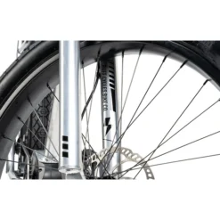 Ruff-cycles Vélos De Ville électriques Biggie Bosch Performance Line CX 500Wh, Argent -Cyclo Vif Soldes Magasin ruff cycles biggie bosch performance line cx 500wh silver 5