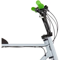 Ruff-cycles Vélos De Ville électriques Lil'Buddy Bosch Active Line 300Wh, Gris -Cyclo Vif Soldes Magasin ruff cycles lilbuddy 20 grey green 4
